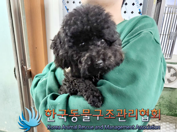 한국동물구조관리협회_411316202300966